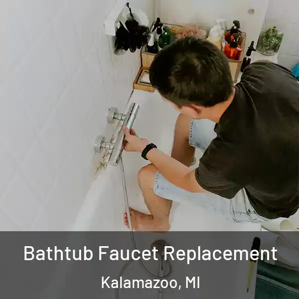  Bathtub Faucet Replacement Kalamazoo, MI