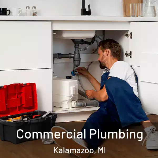  Commercial Plumbing Kalamazoo, MI