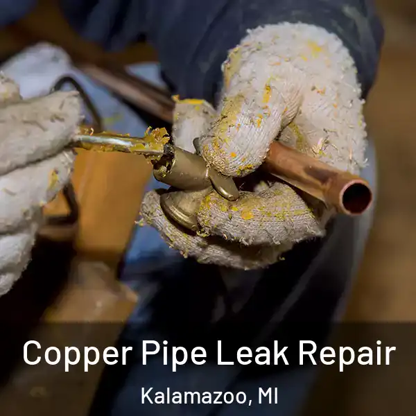  Copper Pipe Leak Repair Kalamazoo, MI