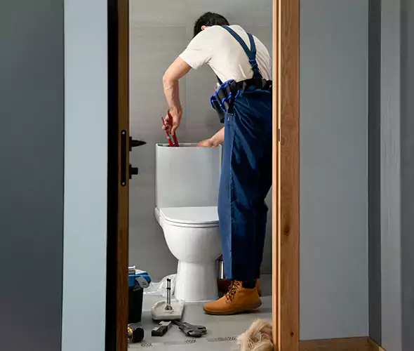 Professional Plumbers for Toilet Bowl Replacement in Kalamazoo, MI: Schedule Affordable Toilet Replacement Services With Us