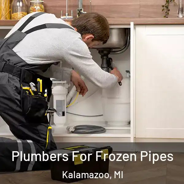  Plumbers For Frozen Pipes Kalamazoo, MI