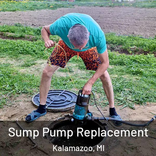 Sump Pump Replacement Kalamazoo, MI