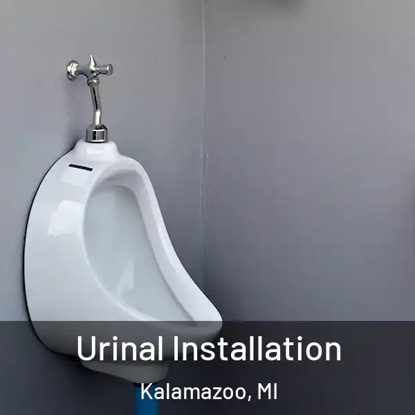  Urinal Installation Kalamazoo, MI